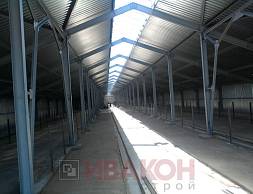 Телятник 2380 кв.м.